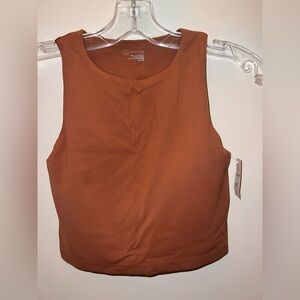 Aerie Sleeveless Fitted Crop Tank Top